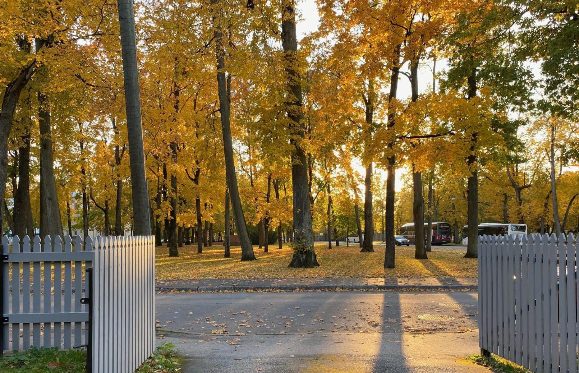 Vanapargi Apartments Пярну Экстерьер фото